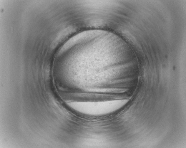 X0000088650640200706152008