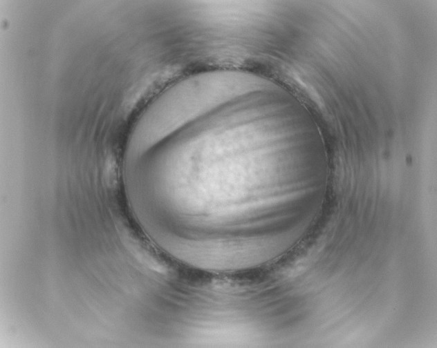 X0000088650641200706152008