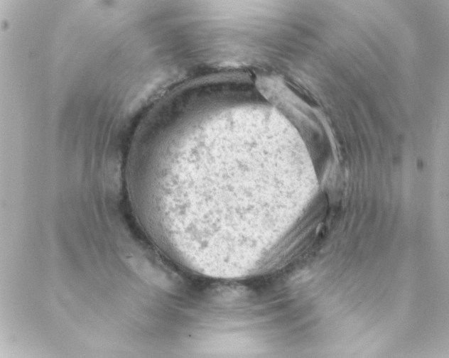 X0000088650642200706152008