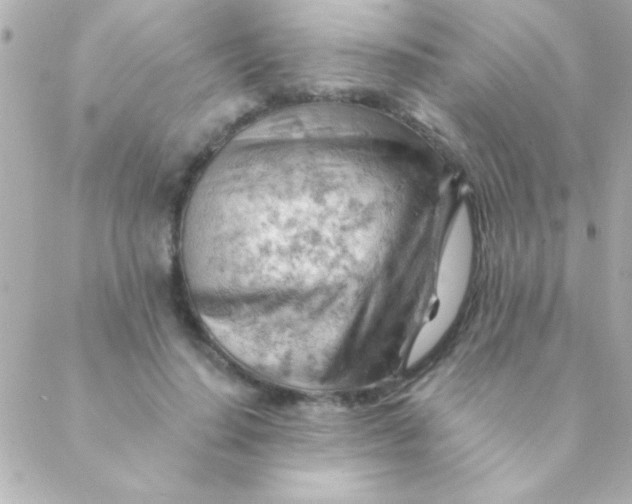 X0000088650644200706152008