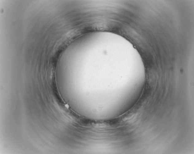 X0000088650645200706152008