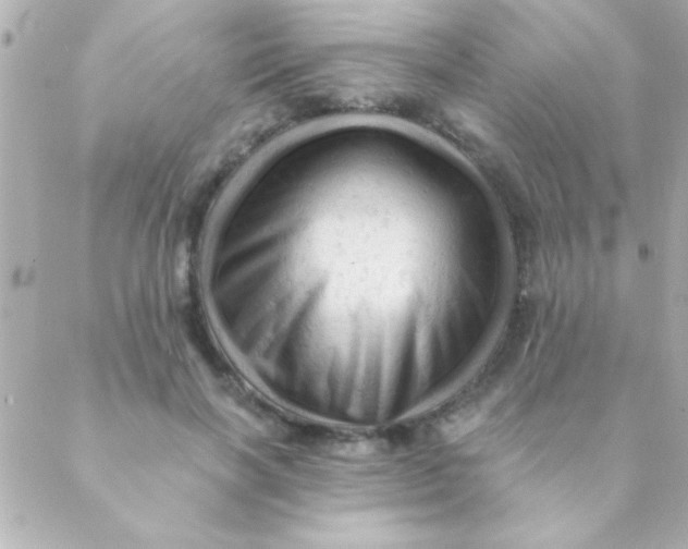 X0000088650646200706152008