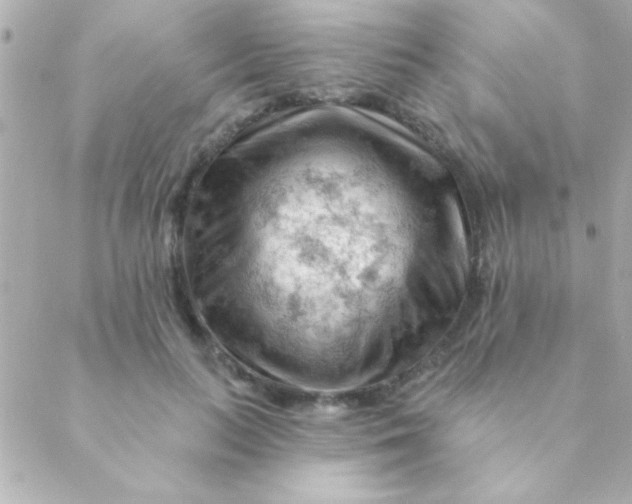 X0000088650647200706152008