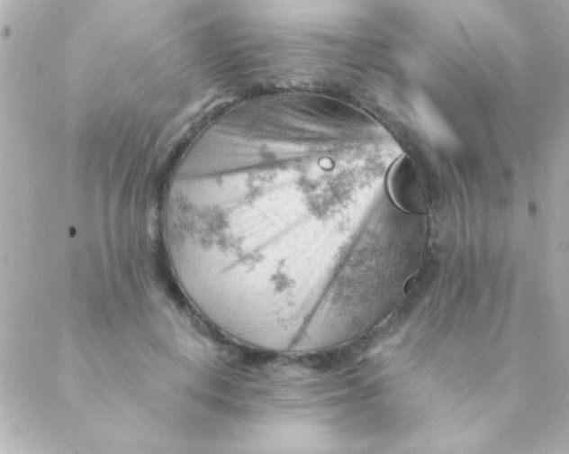 X0000088650648200706152008