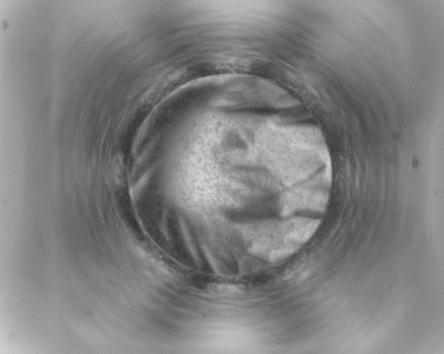 X0000088650649200706152008