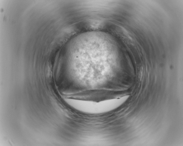 X0000088650651200706152008