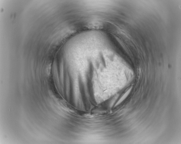 X0000088650652200706152008