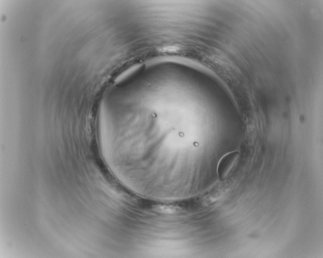 X0000088650654200706152009