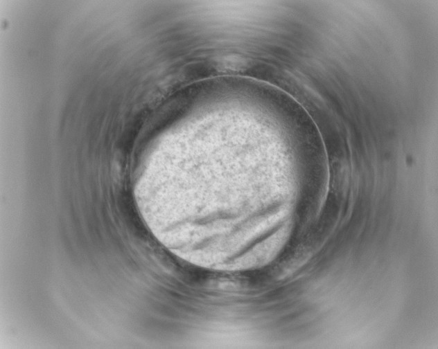 X0000088650655200706152009