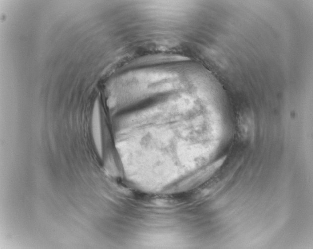 X0000088650657200706152009