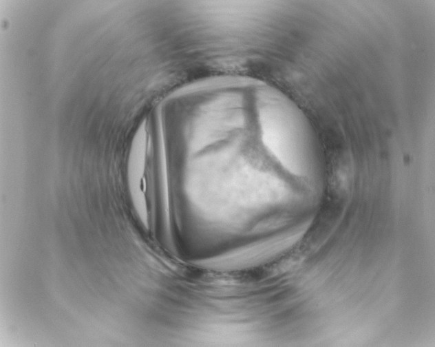 X0000088650658200706152009