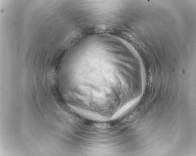 X0000088650659200706152009