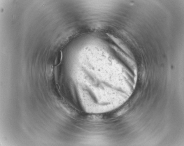 X0000088650660200706152009