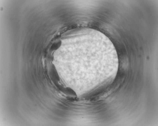 X0000088650661200706152009