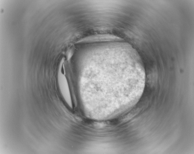 X0000088650662200706152009