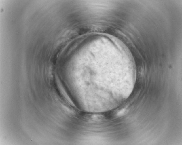 X0000088650663200706152009