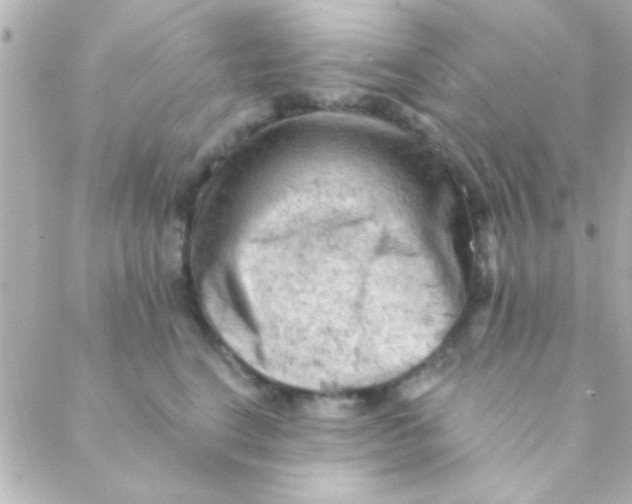 X0000088650664200706152009