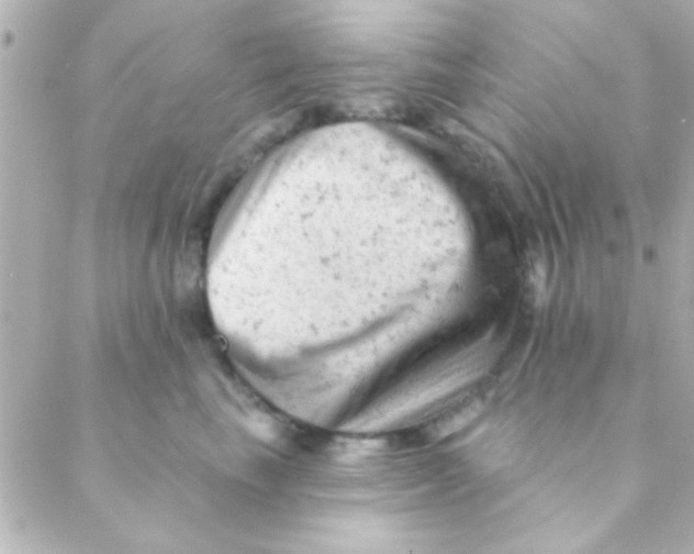 X0000088650665200706152009