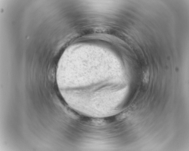 X0000088650666200706152009