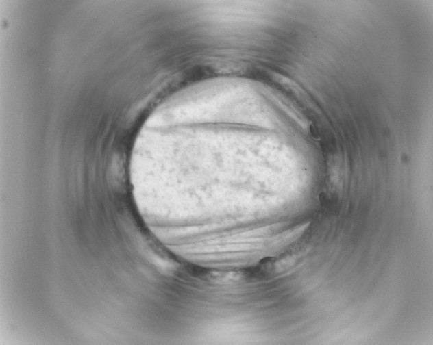 X0000088650667200706152009