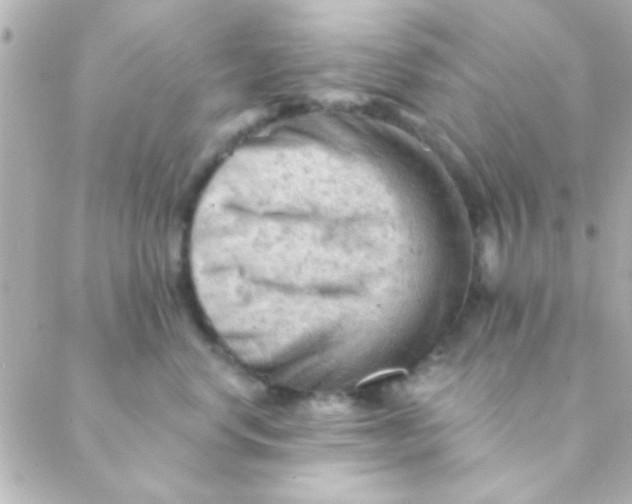 X0000088650668200706152009