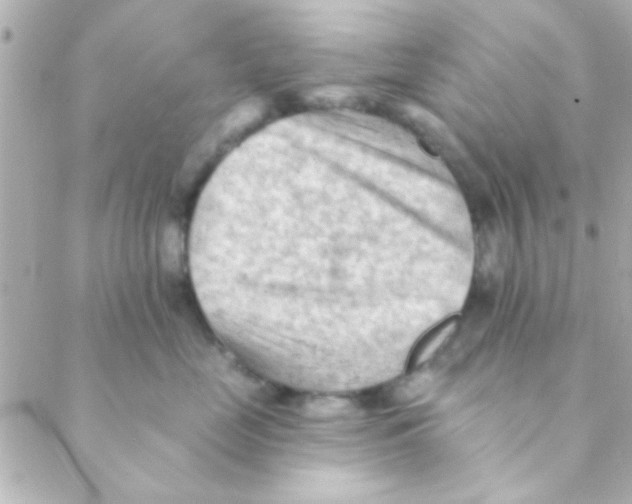 X0000088650669200706152009