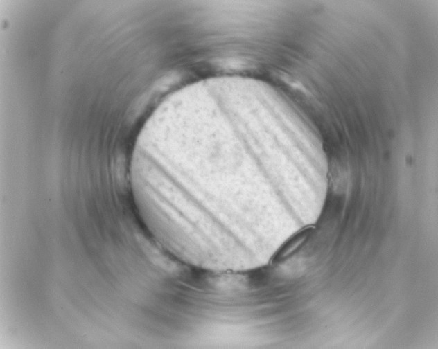 X0000088650670200706152009