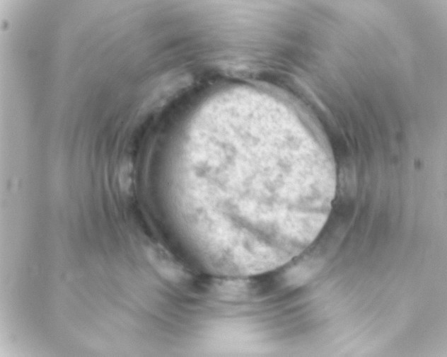 X0000088650671200706152009