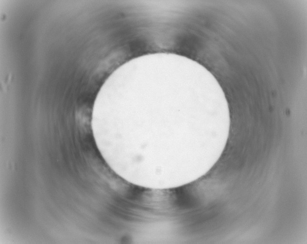 X0000088650672200706152009