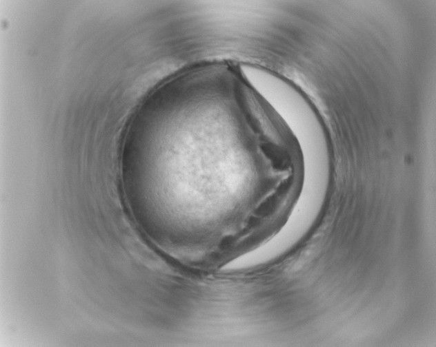 X0000088650673200706152008