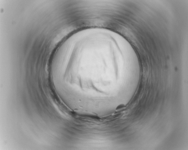 X0000088650674200706152008