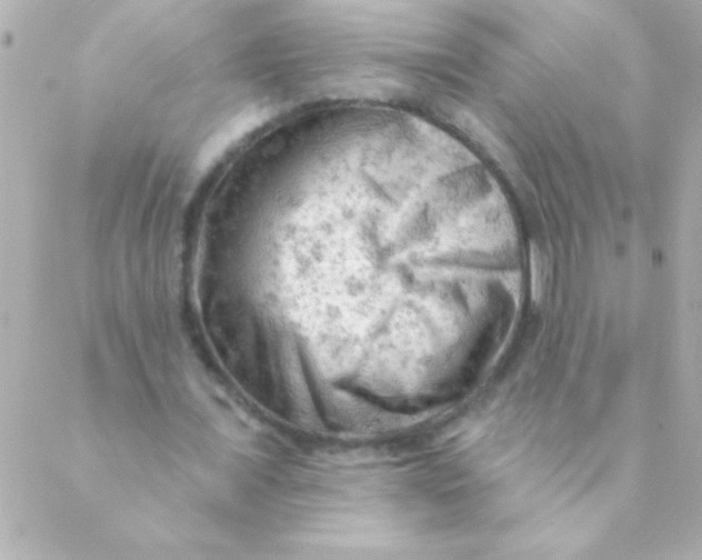 X0000088650675200706152008