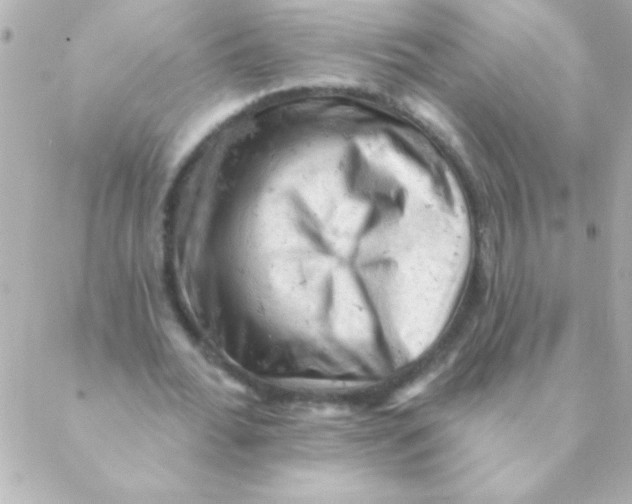 X0000088650676200706152008