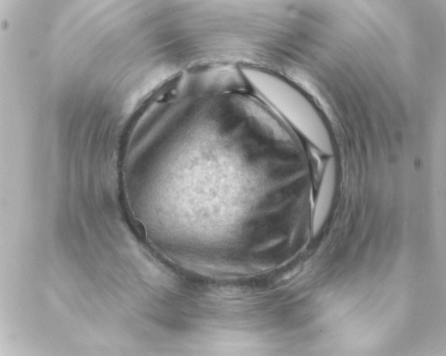 X0000088650677200706152008