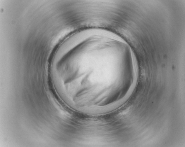 X0000088650678200706152008