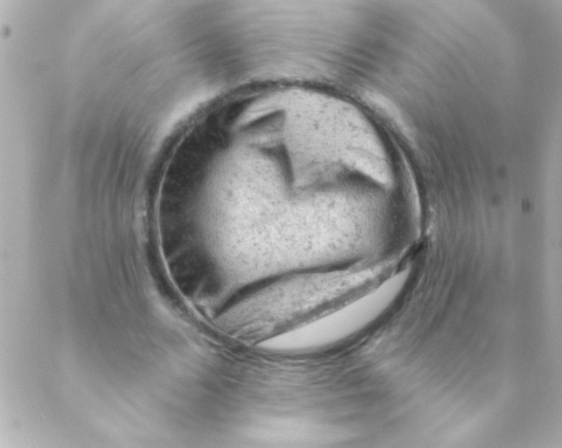 X0000088650680200706152008