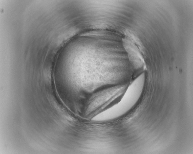 X0000088650681200706152008