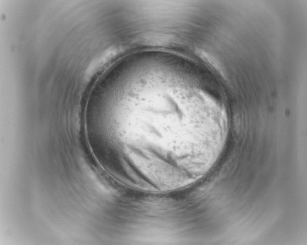 X0000088650682200706152008