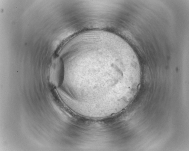 X0000088650683200706152008