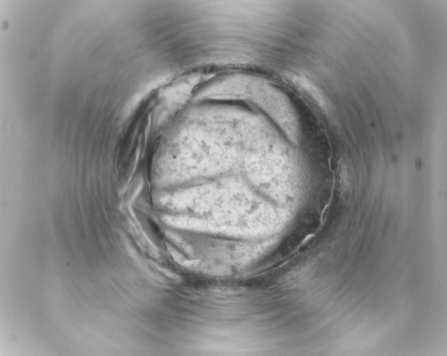 X0000088650684200706152008