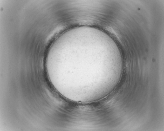 X0000088650686200706152008