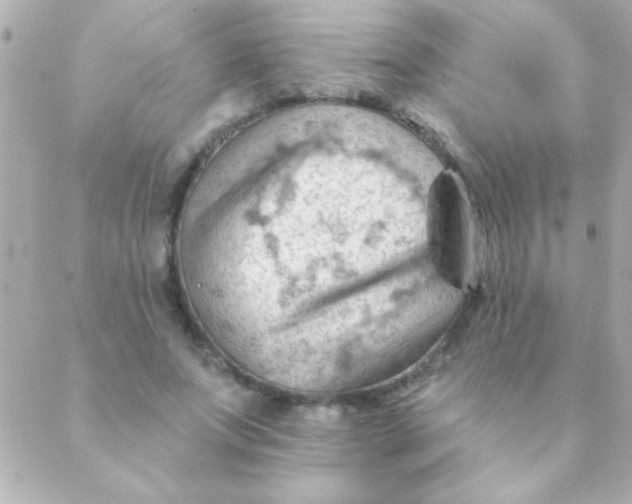 X0000088650687200706152008