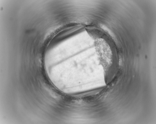 X0000088650688200706152008