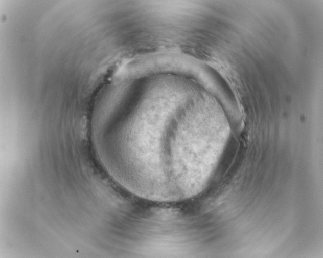 X0000088650689200706152008