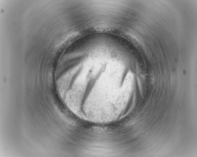 X0000088650690200706152008