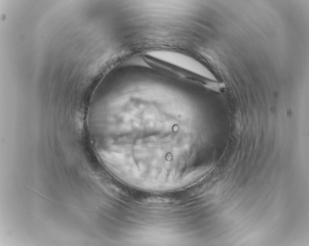 X0000088650691200706152008