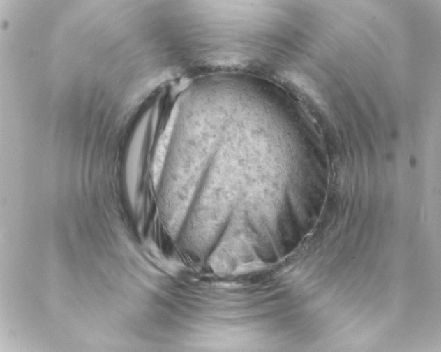 X0000088650692200706152008