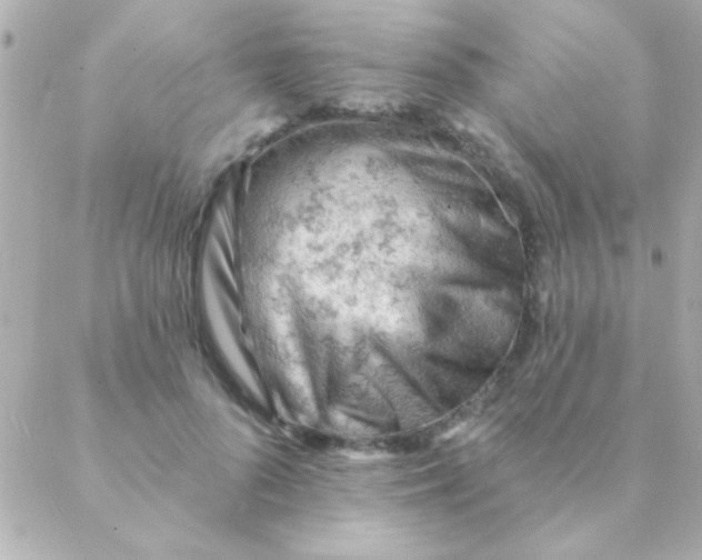 X0000088650696200706152008