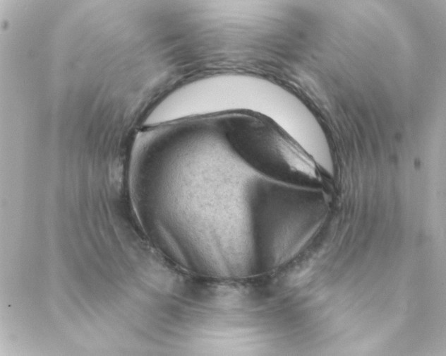 X0000088650697200706152008