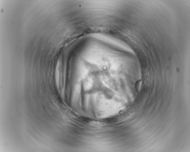 X0000088650699200706152008